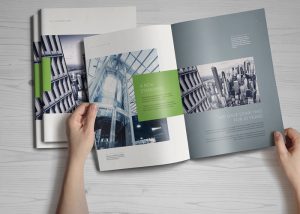 Indesign-2
